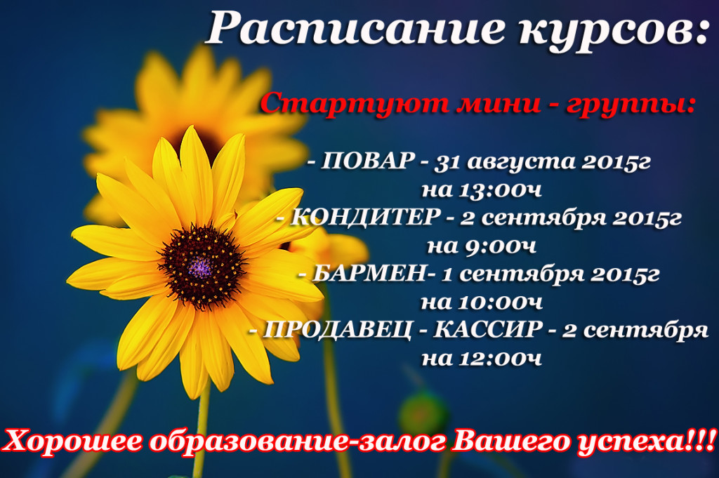 Курсы